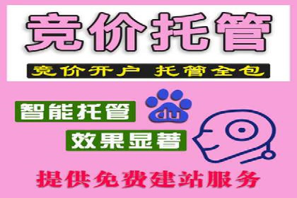 百度推广价格优化：一则旅游行业的成功故事